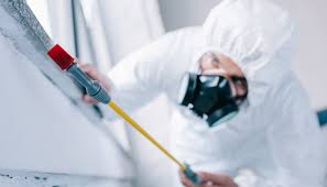 Best Pest Prevention Services  in Torrington, WY